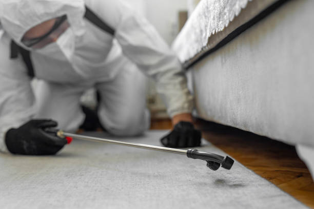 Professional Cockroach Control technician working in Highland Park, IL