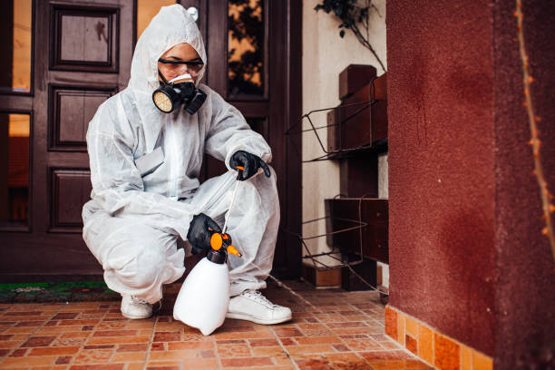 Reliable Cockroach Control contractor in Highland Park, IL by Nex Pest Control