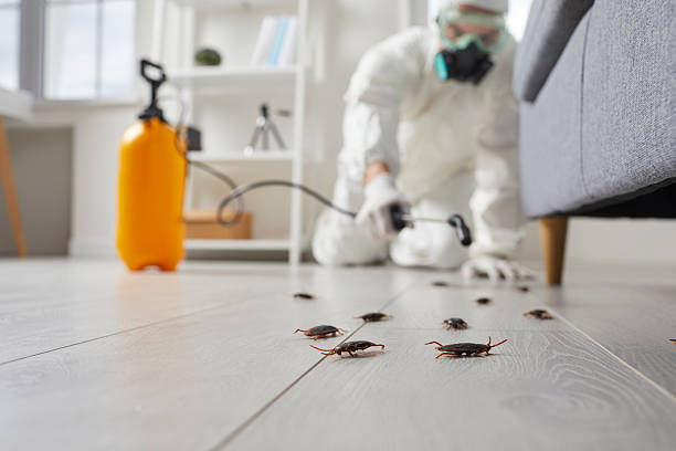 Trusted Cockroach Control service in Highland Park, IL - Nex Pest Control