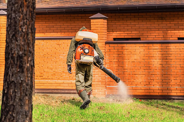 Trusted Bed Bug Control service in Highland Park, IL - Nex Pest Control